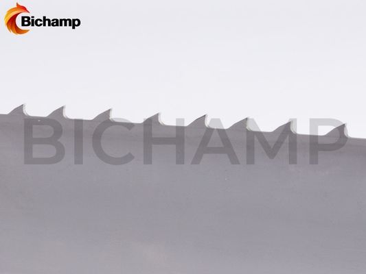 Industrial Sawmill Bandsaw Blades Carbide Multi Chip Set CB-X925™